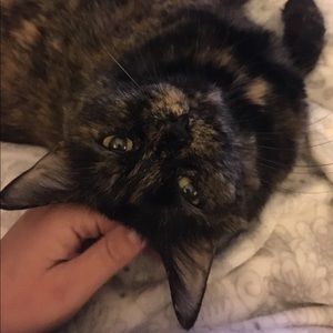 Meet your Posher, Kevin